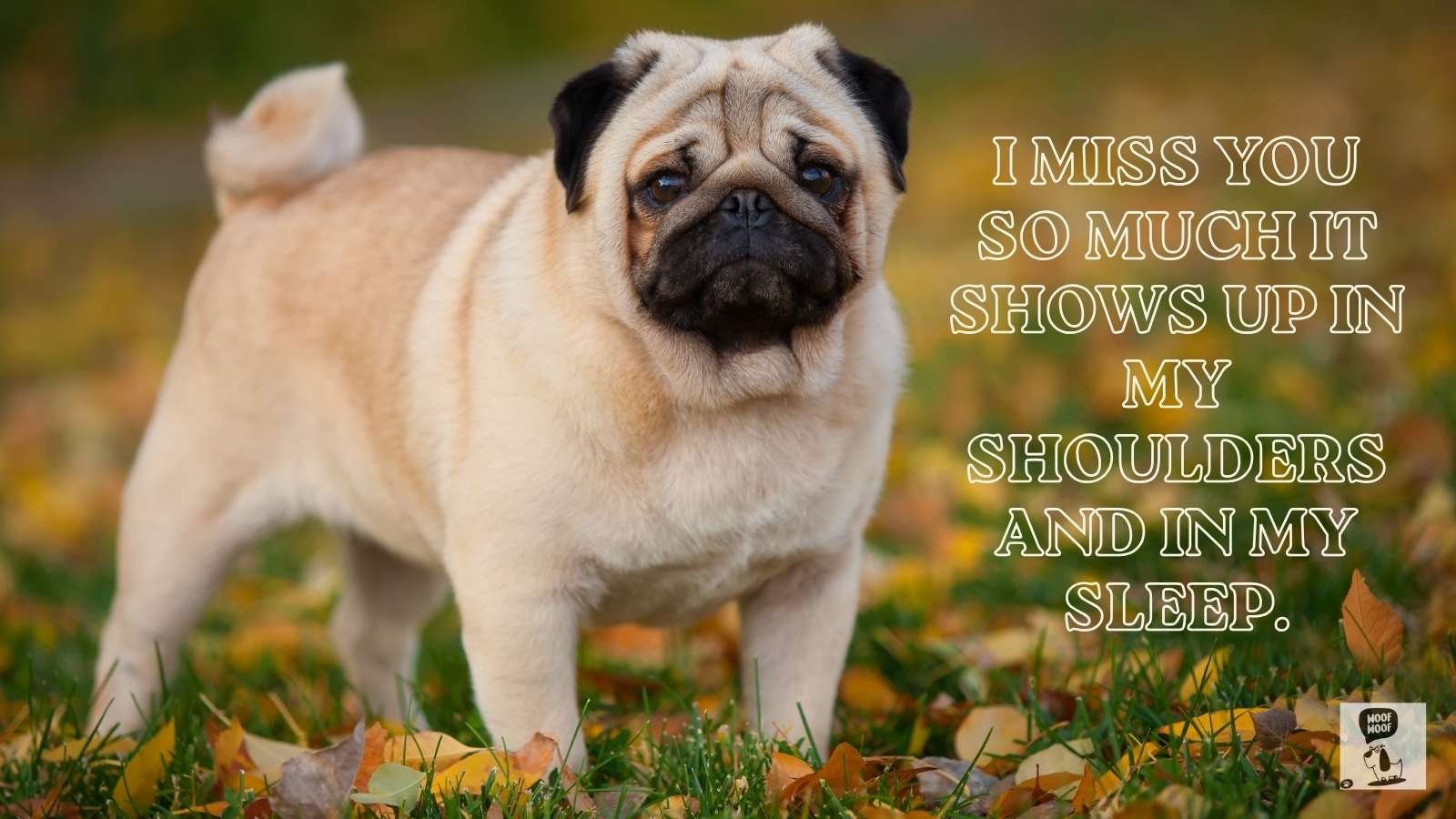 I Miss My Dog So Much Quotes