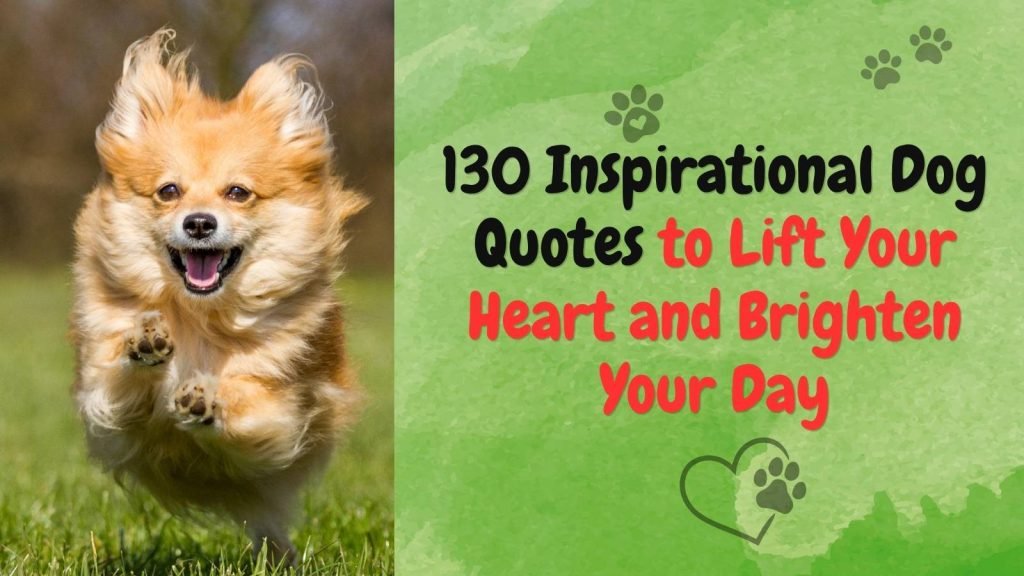 Inspirational Dog Quotes