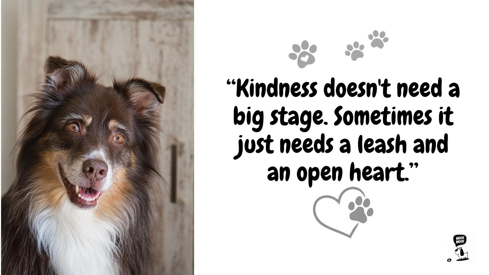 Inspirational Dog Rescue Quotes