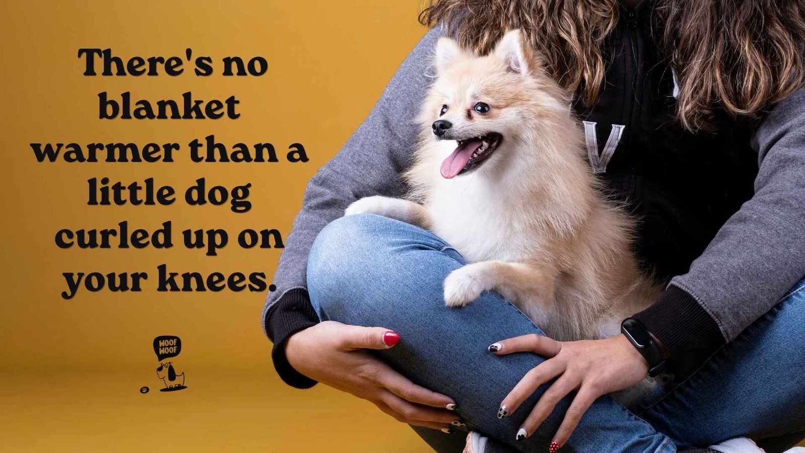 Lap Dog Quotes for Cuddle Champions