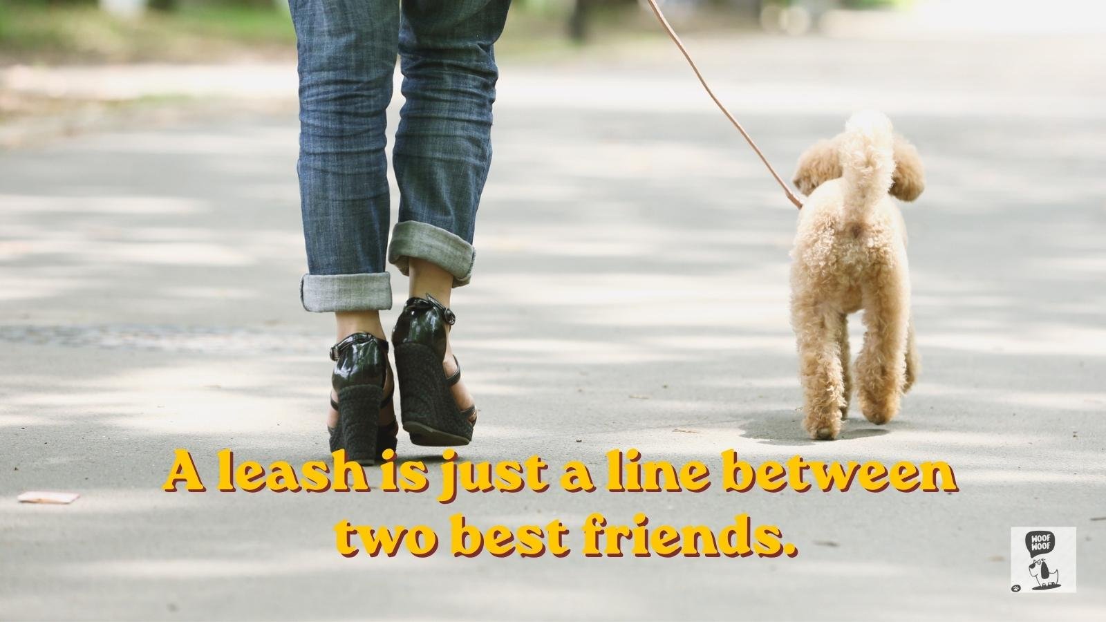 Leash Quotes for Dog Lovers
