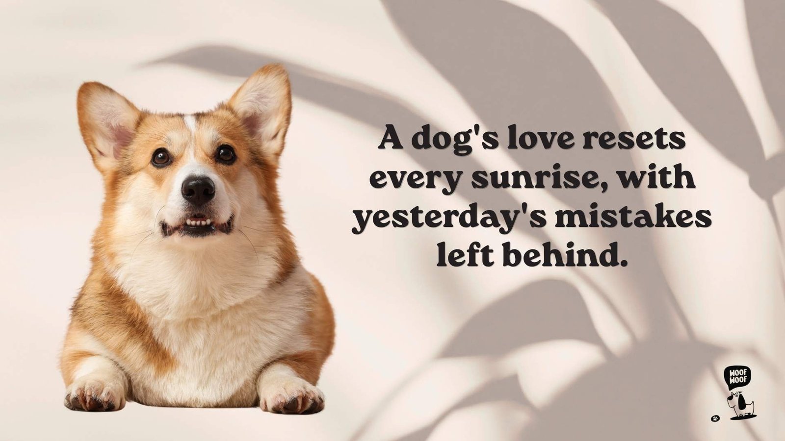 Lessons Dogs Teach Us About Unconditional Love