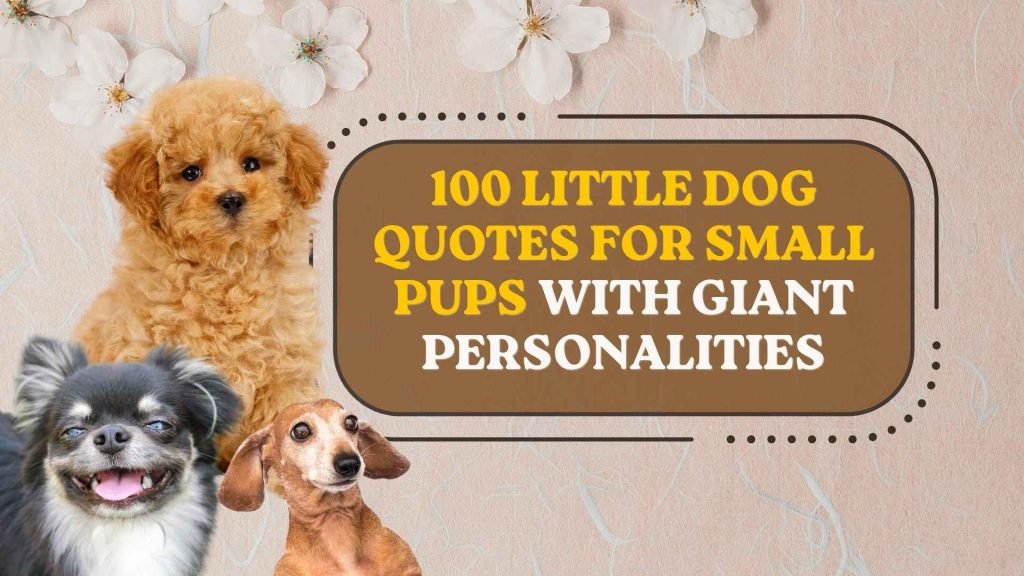 Little Dog Quotes for Small Pups With Giant Personalities