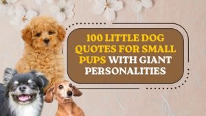 Little Dog Quotes for Small Pups With Giant Personalities