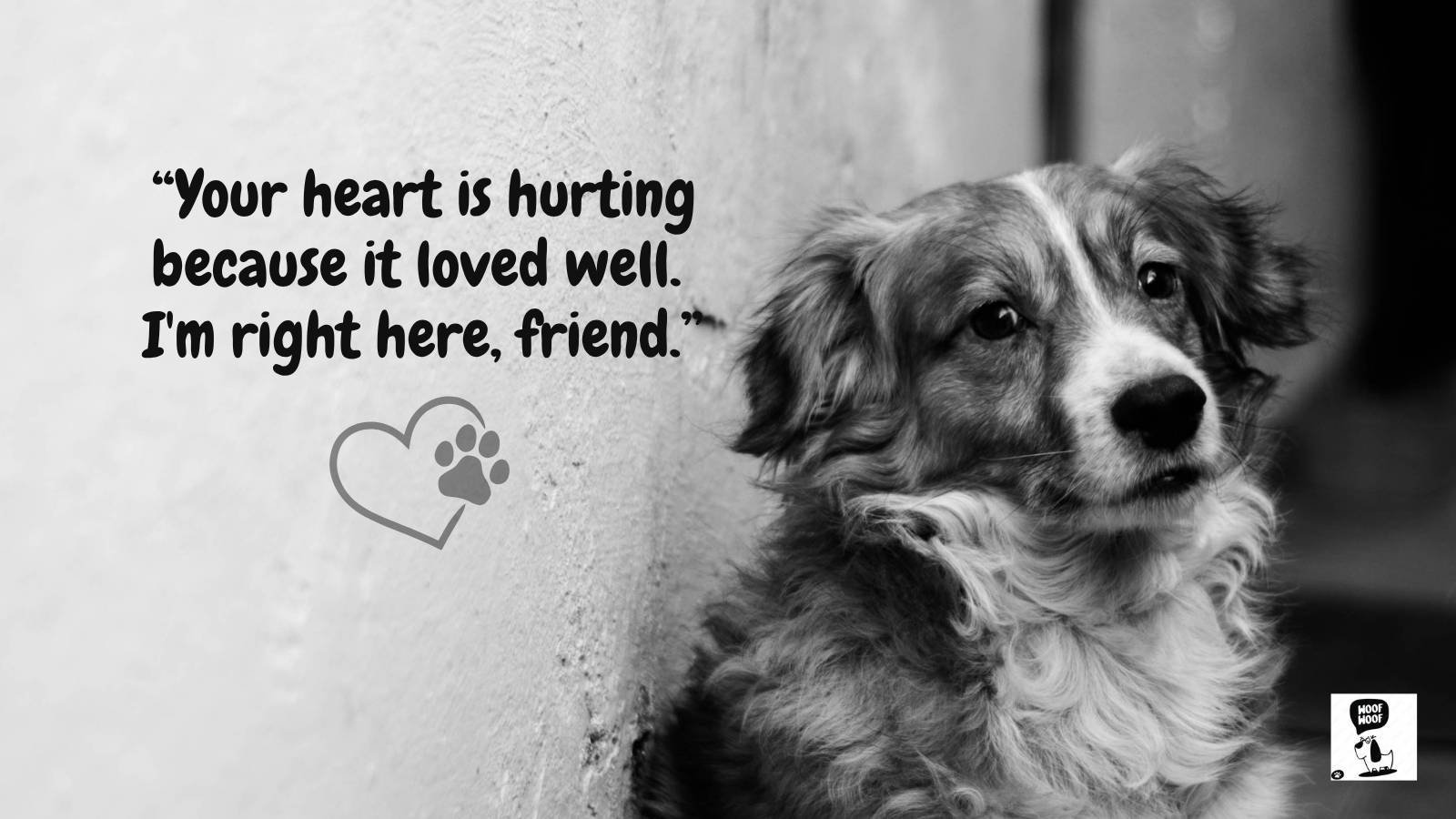 Loss of Dog Quotes for a Friend