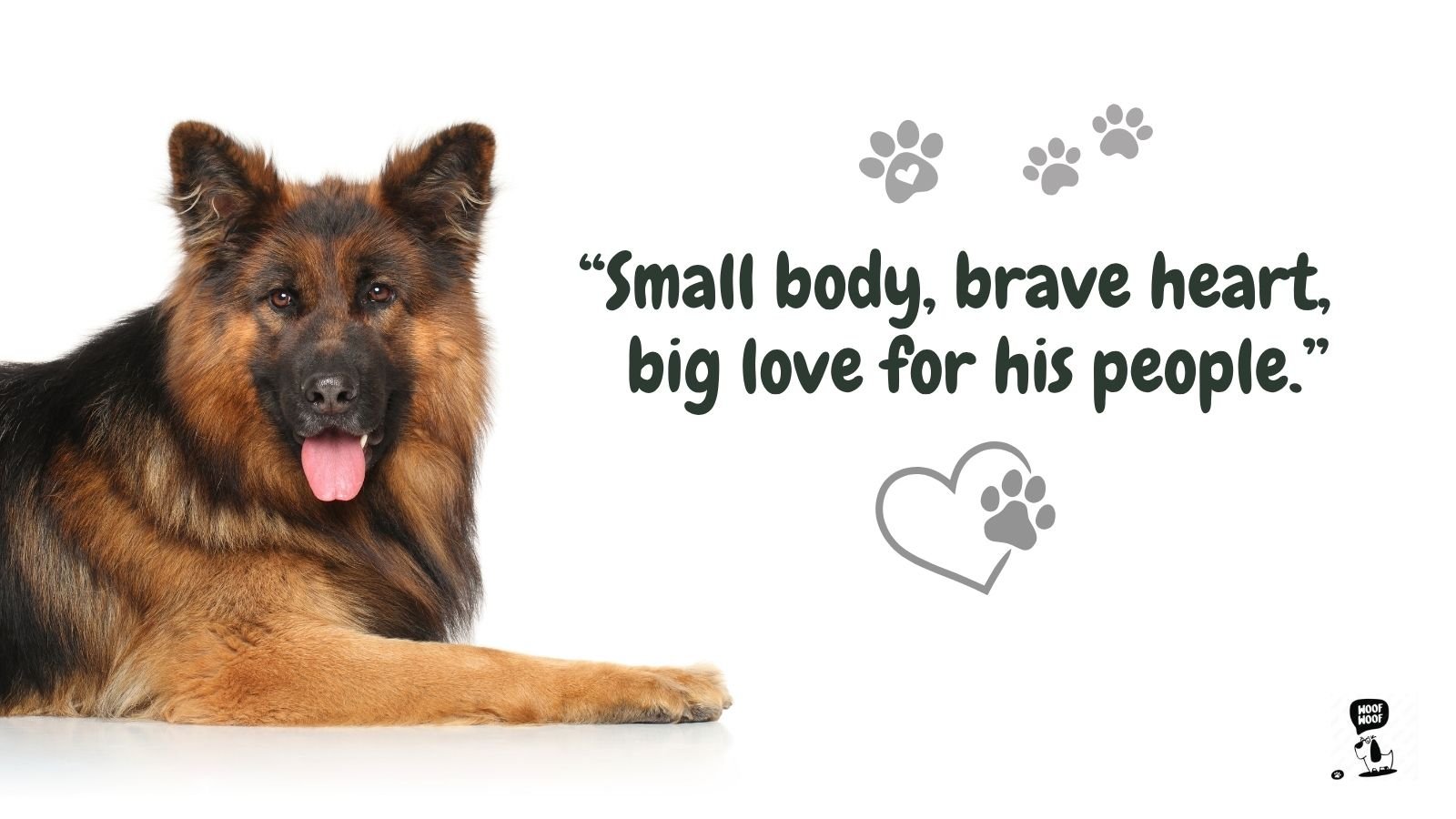 Loyal, Protective, and Pack Dog Quotes