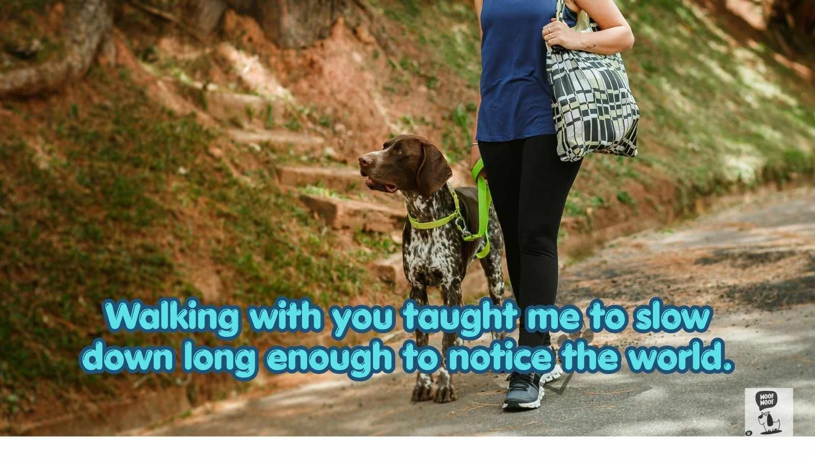 Meaningful Walk With My Dog Quotes