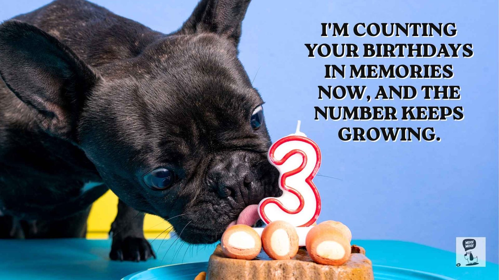Milestone Birthday Wishes for a Dog in Heaven