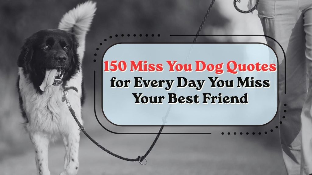 Miss You Dog Quotes