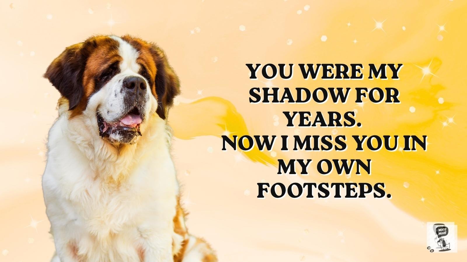 Missing Dog Love Quotes