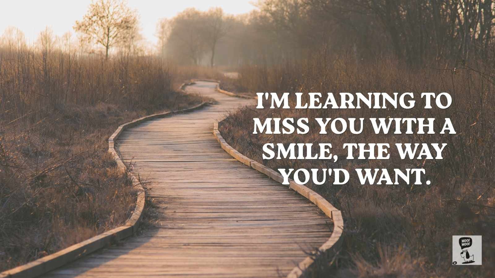 Missing Dog Quotes That Turn Grief Into Gratitude