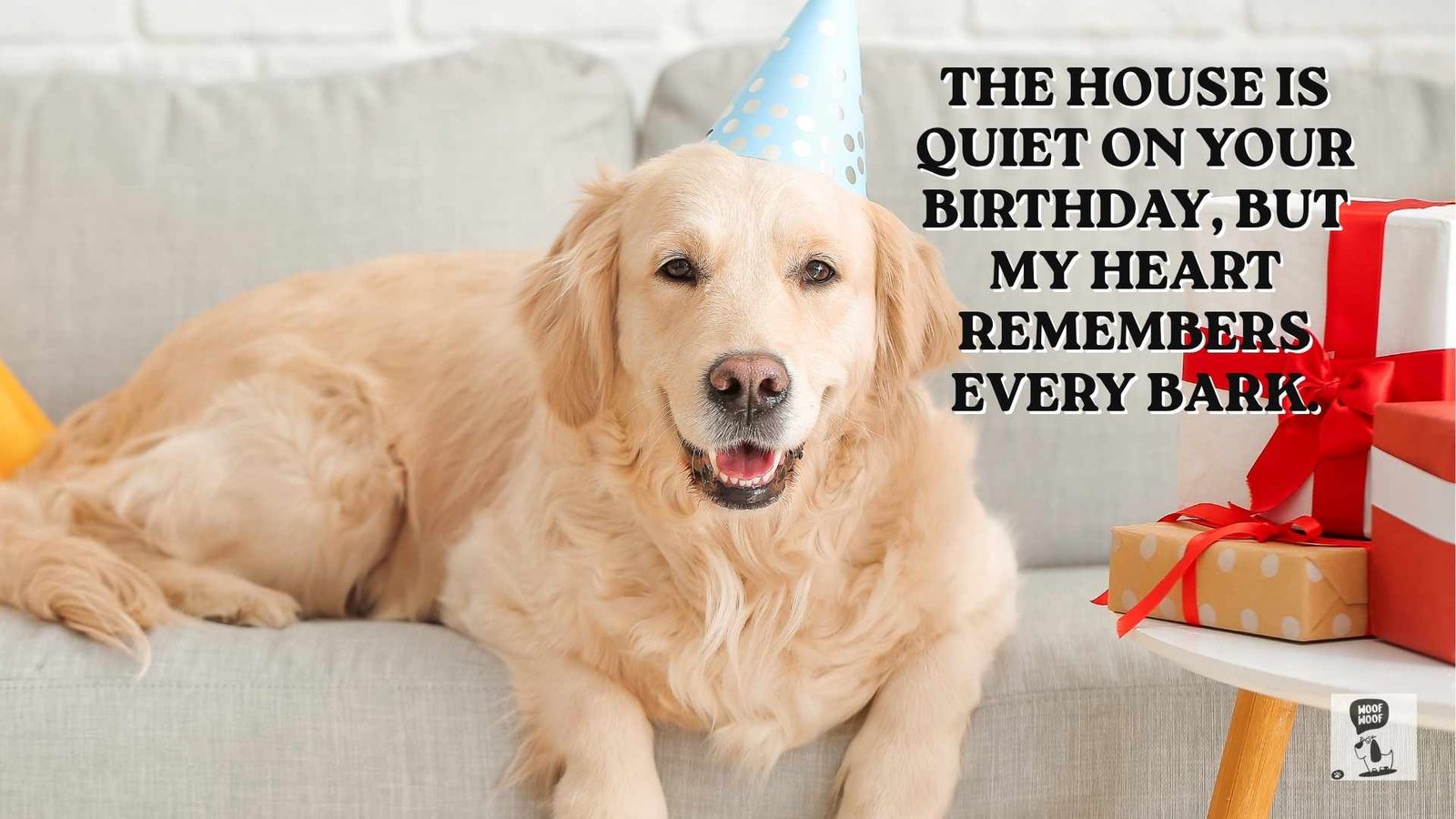 Missing My Dog on Their Birthday