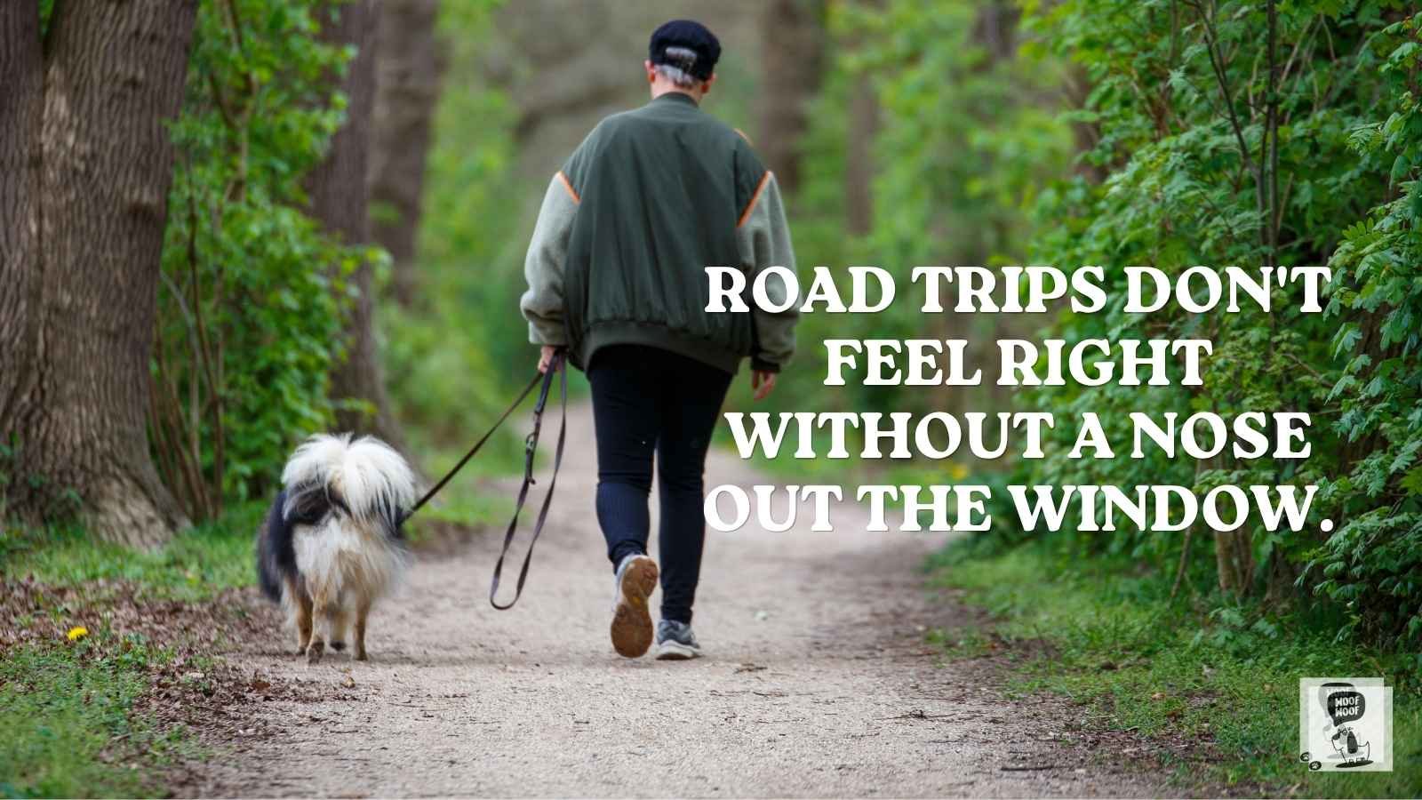 Missing Your Dog on Walks quotes