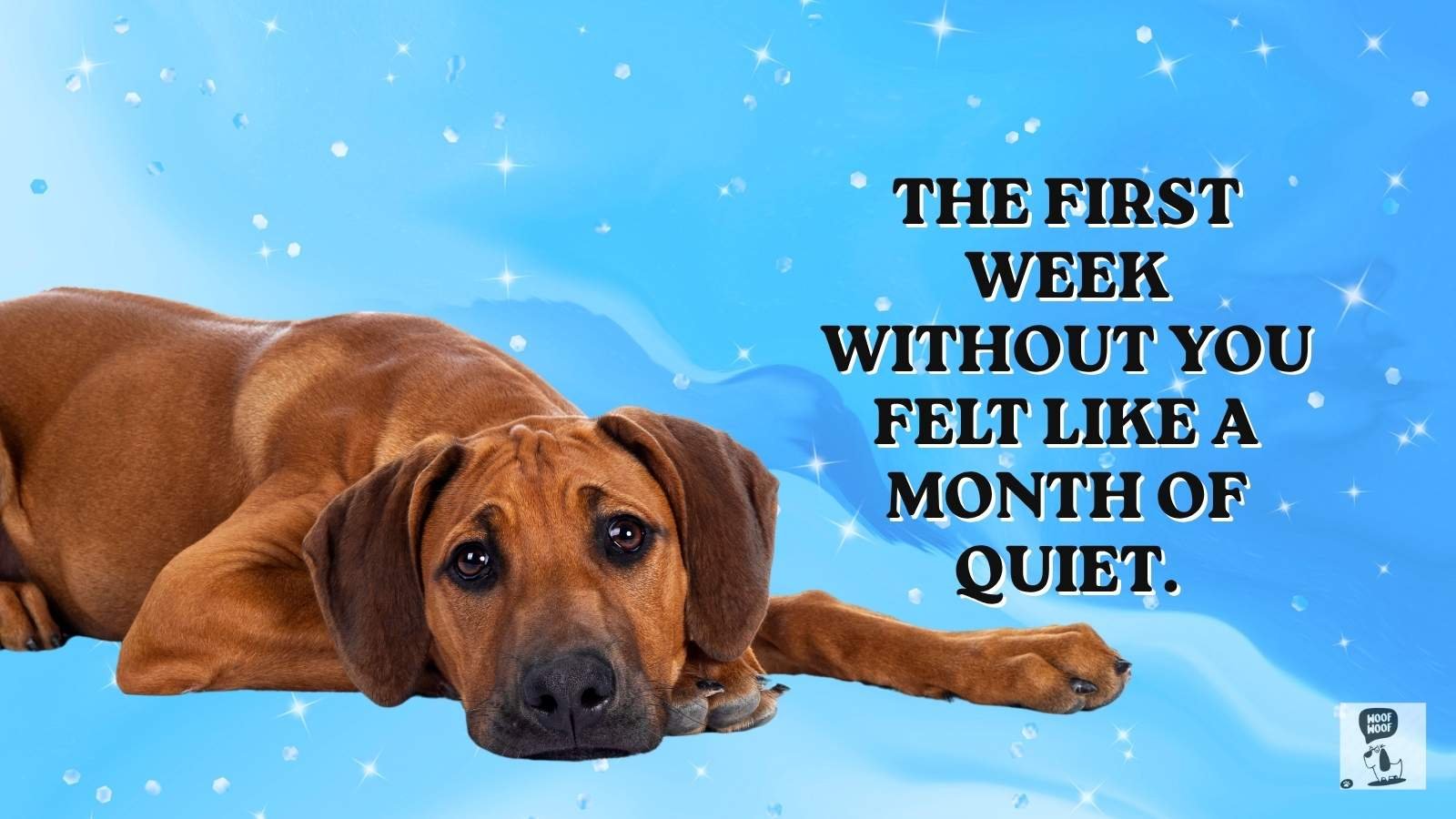 Missing a Dead Dog Quotes