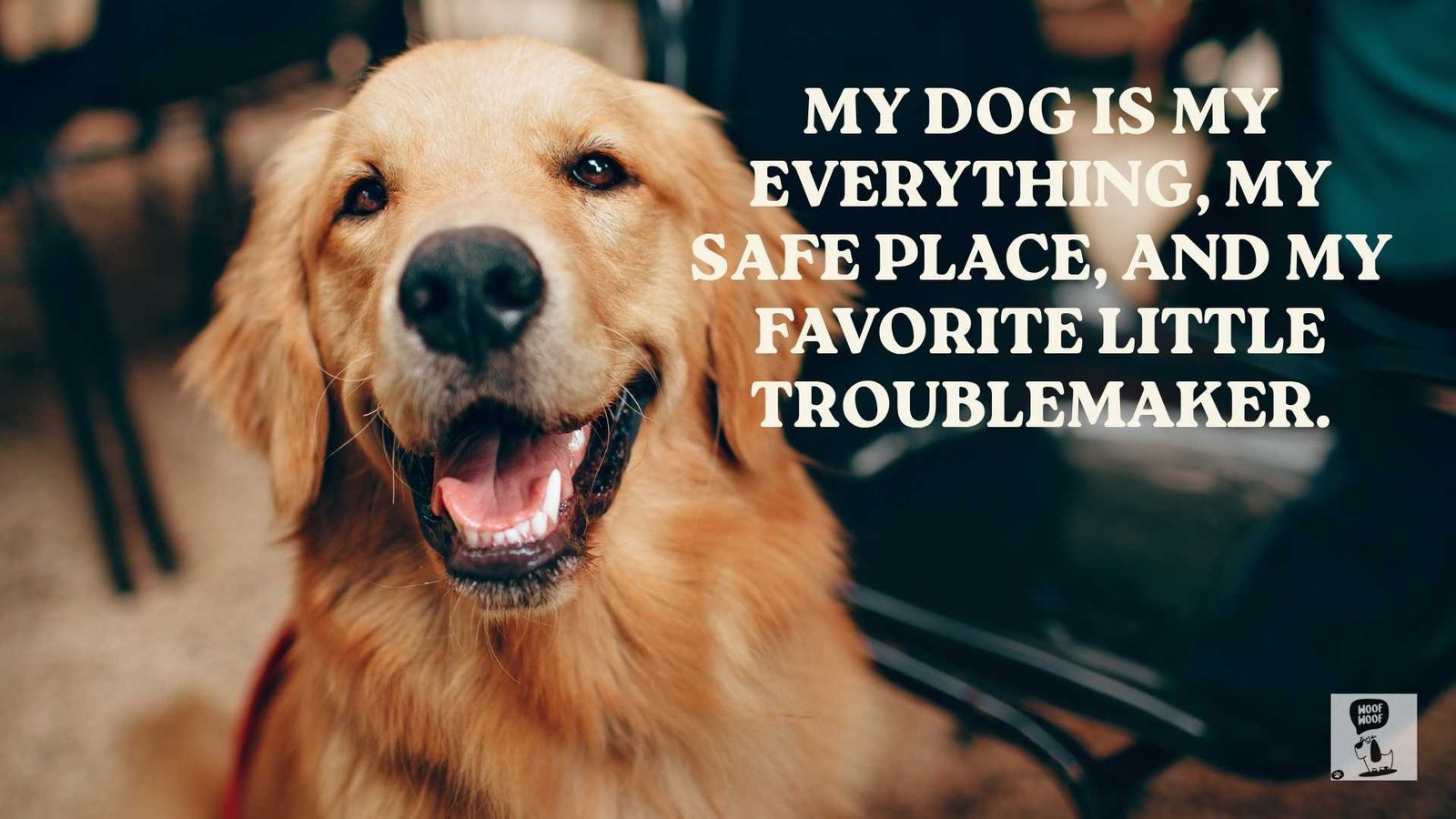 My Dog Is My Everything Quotes