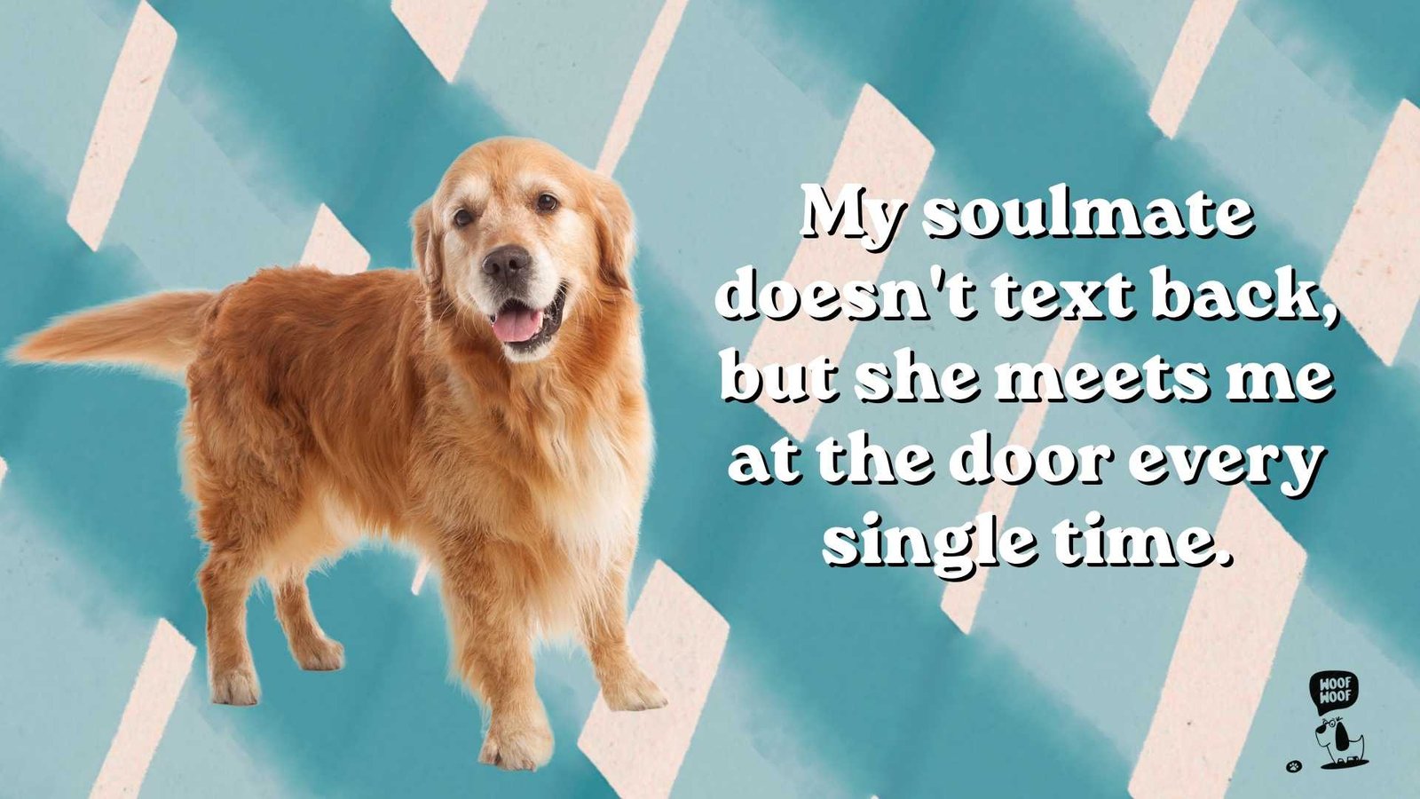 My Dog Is My Soulmate Quotes
