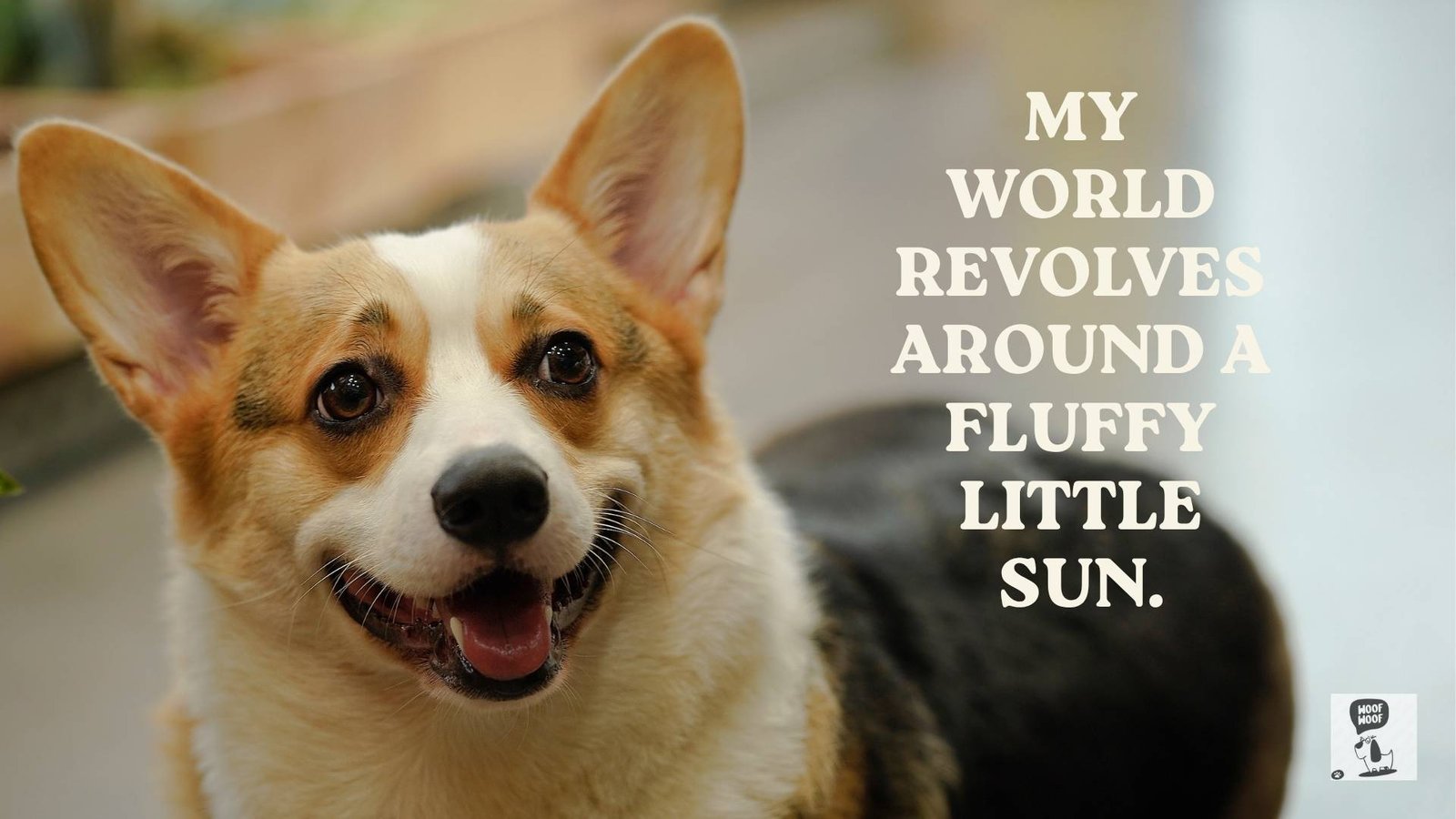 My Dog Is My World Quotes