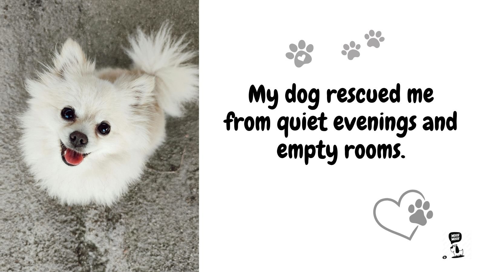 My Dog Rescued Me Quotes