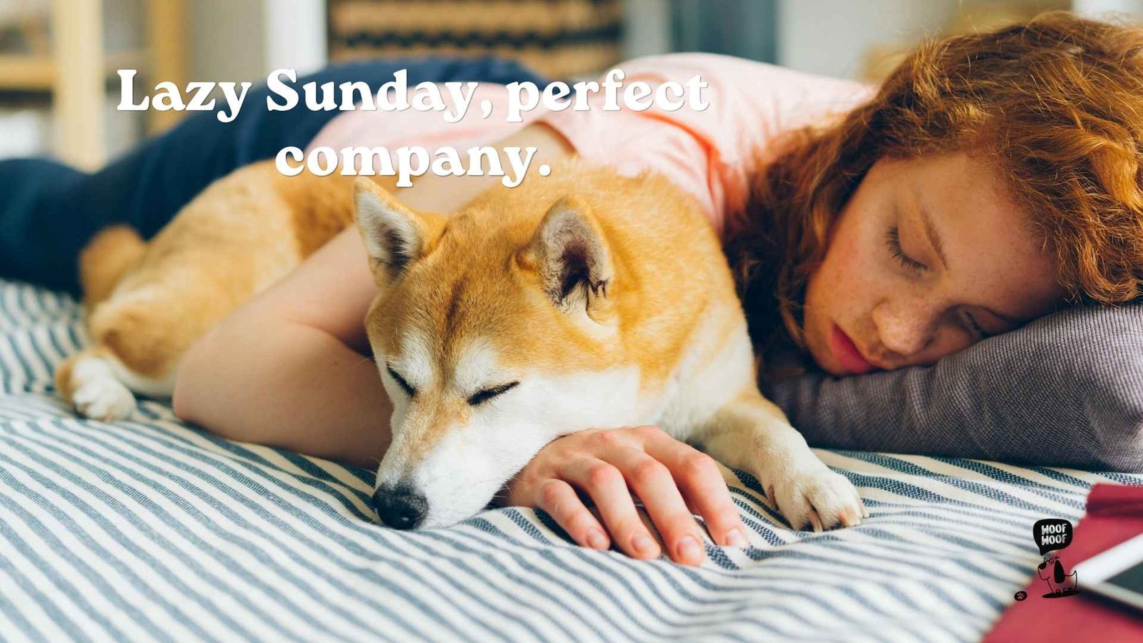 Nap and Lazy Day Captions With My Dog