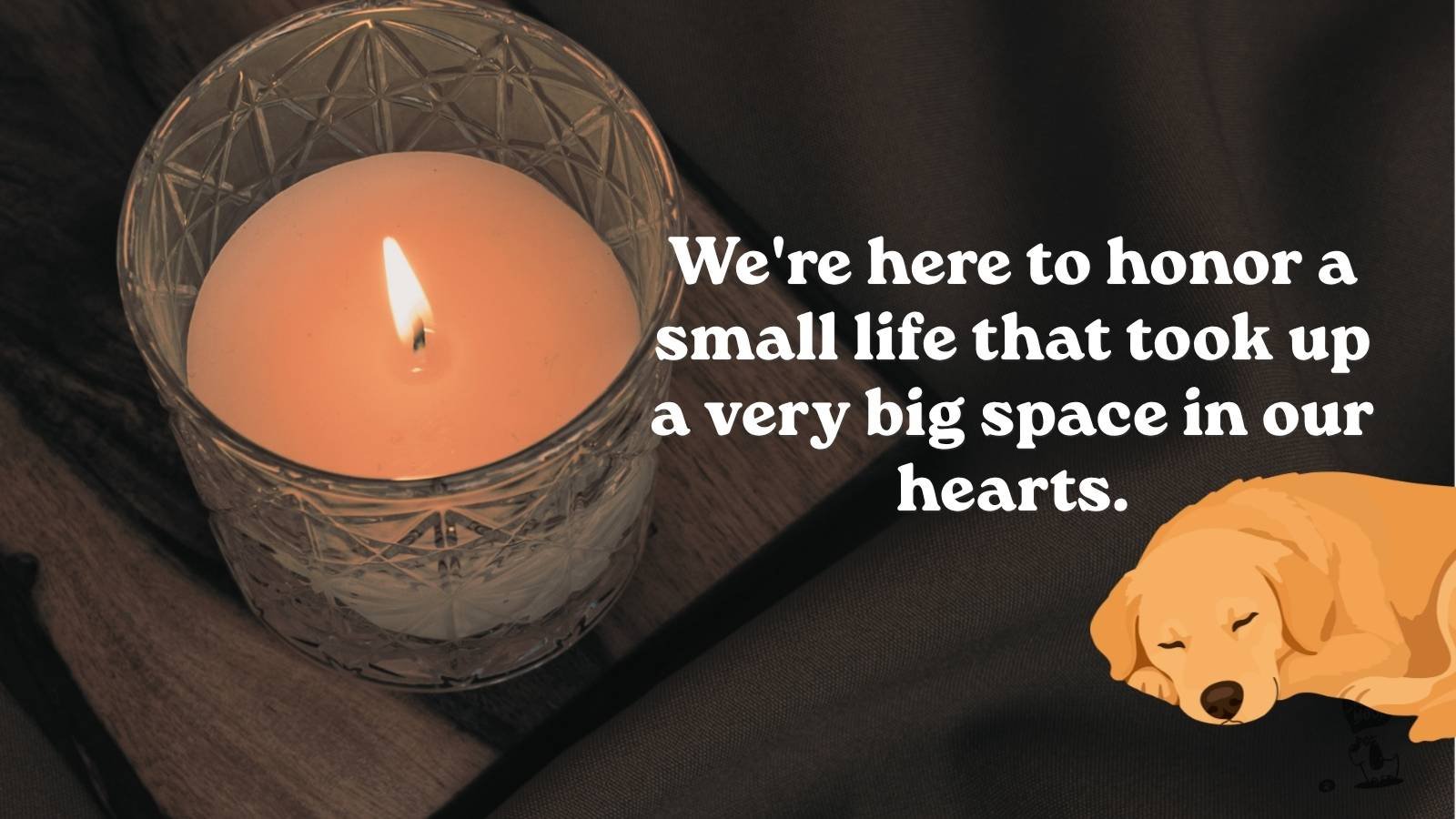 Opening Words to Begin a Dog Funeral