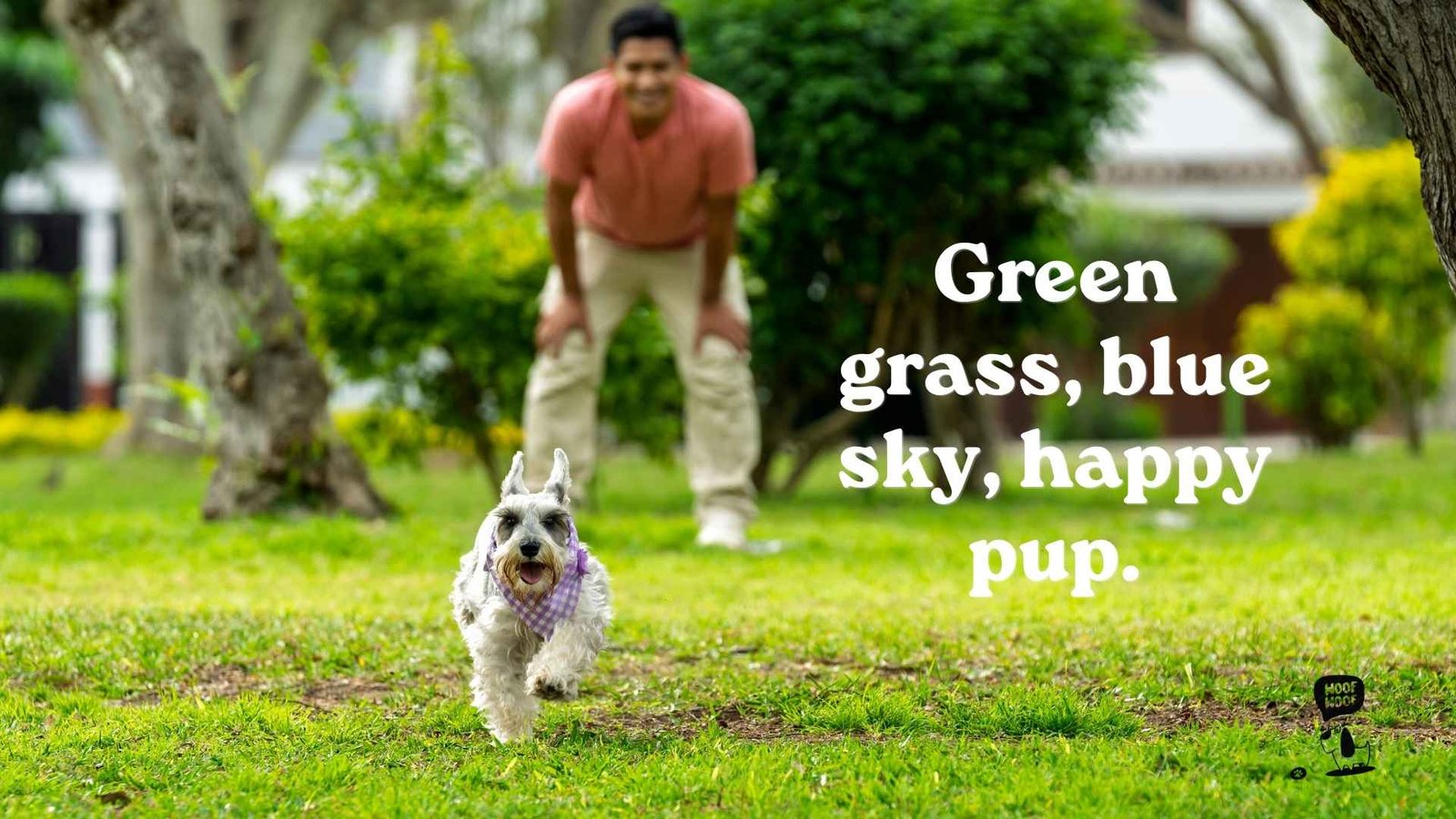 Park and Dog Park Photo Captions