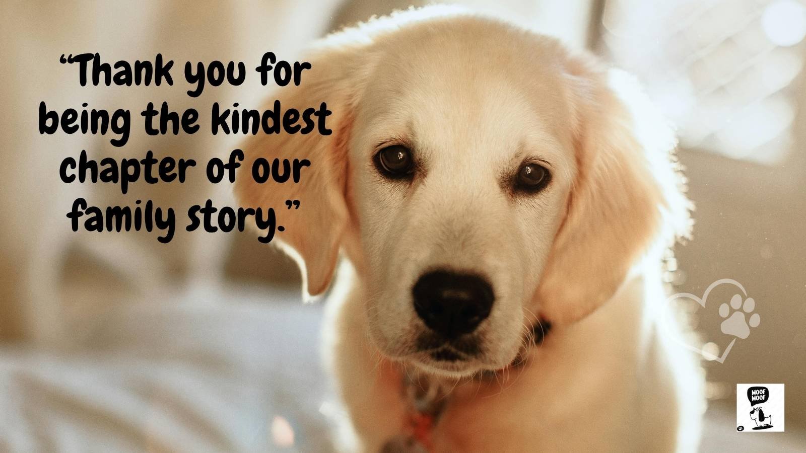 Pet Memorial Quotes for Dogs