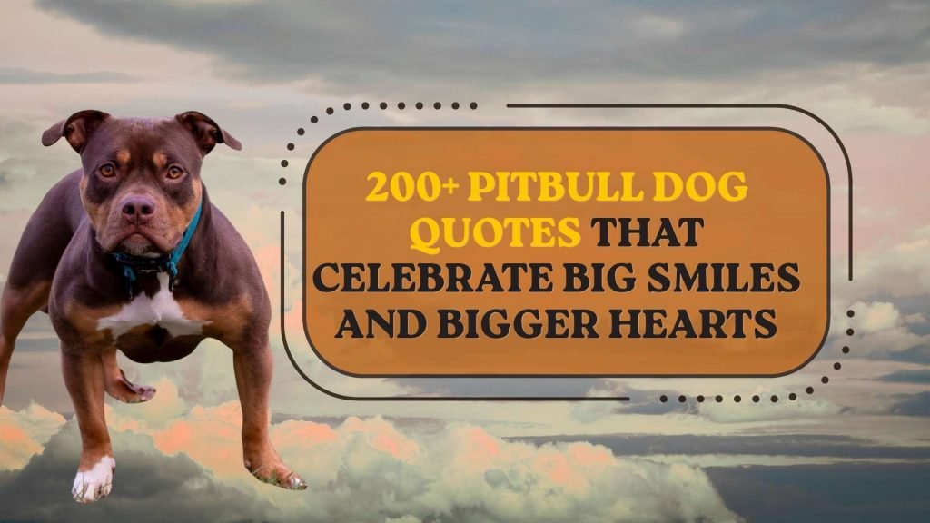 Pitbull Dog Quotes