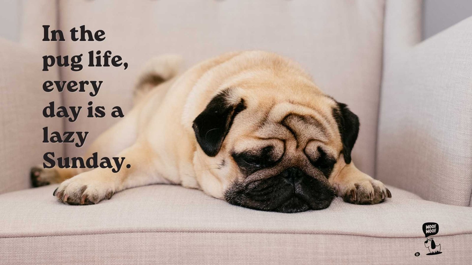 Pug Life Quotes