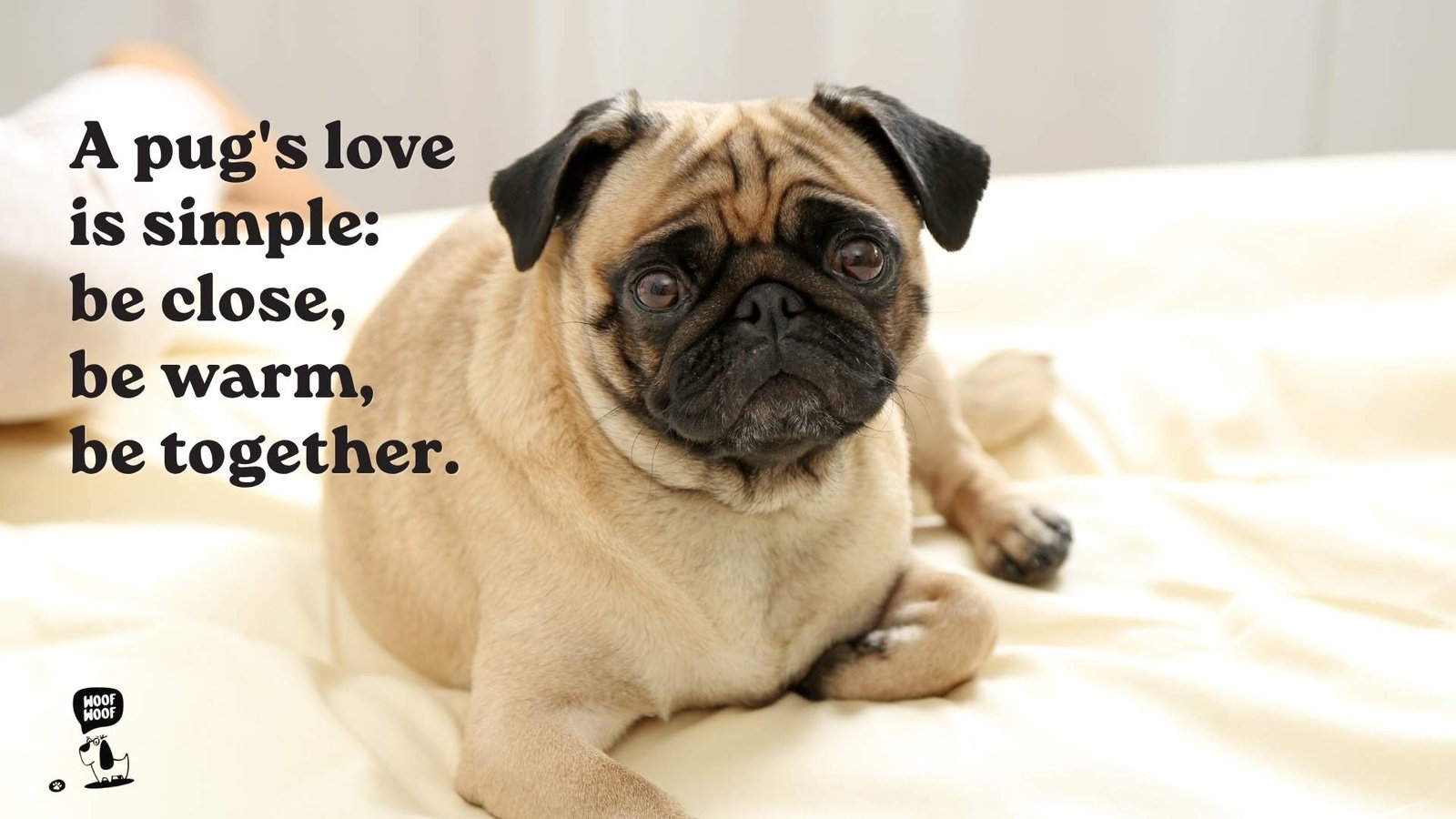 Pug Love Quotes