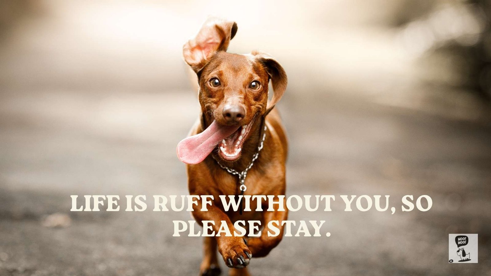 Punny Cute Dog Love Quotes