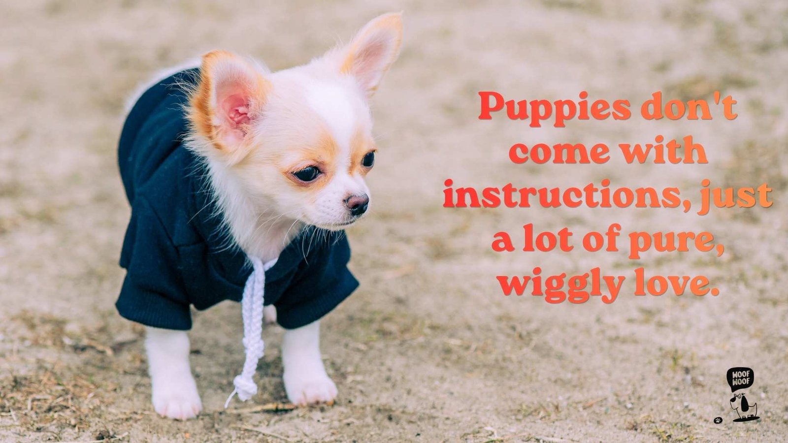 Pure Love Quotes for Puppies