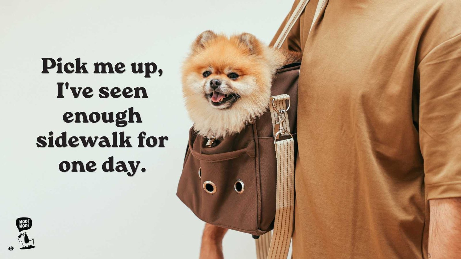 Purse Dog and Carry-Me Quotes