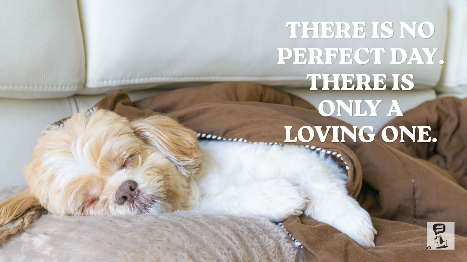Putting Down a Dog Quotes