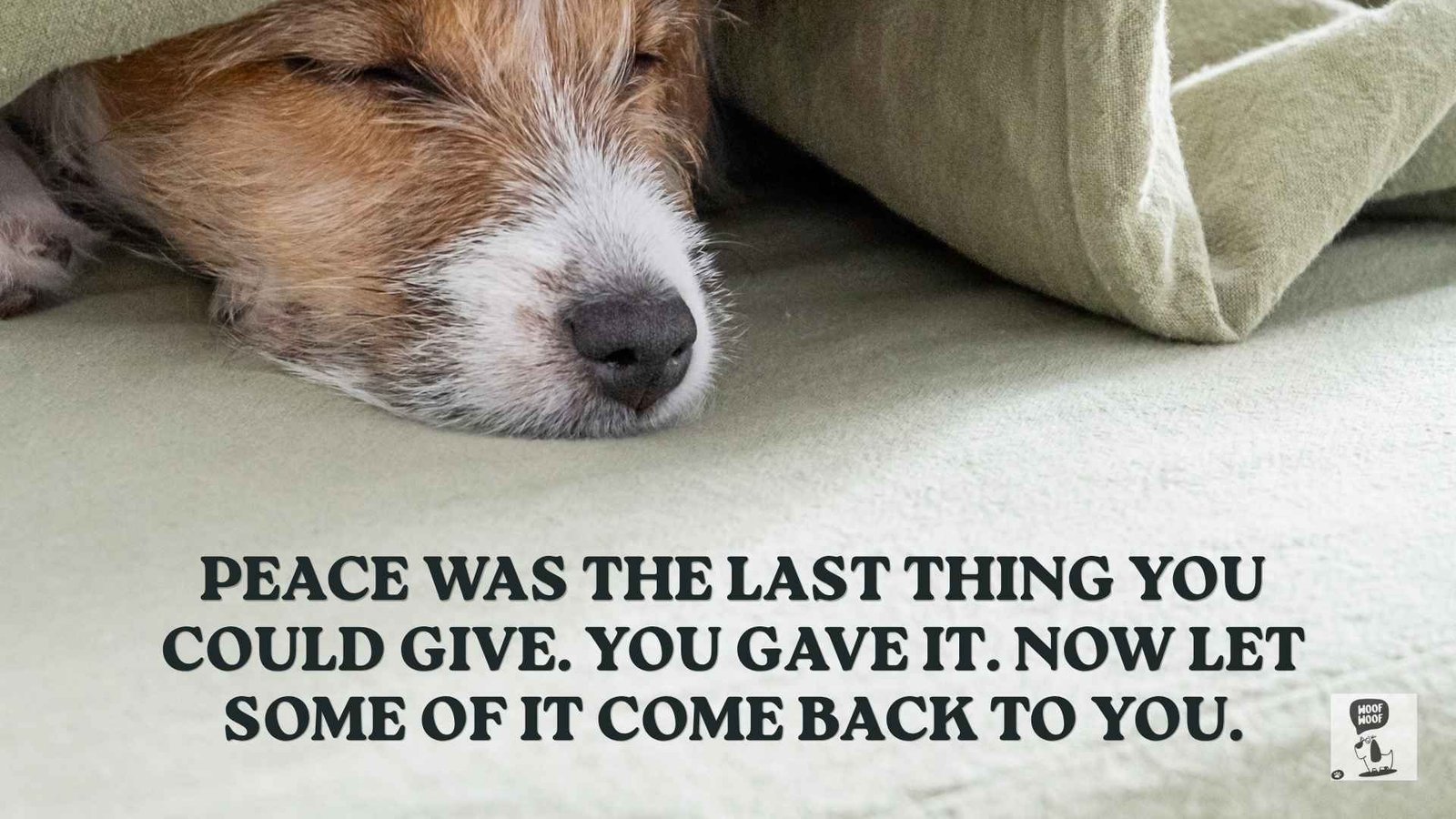 Putting Your Dog to Sleep Quotes