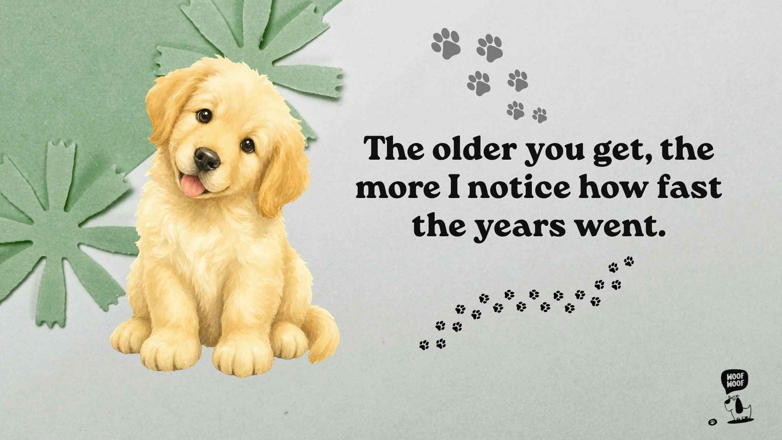 Quotes About Senior Dogs and Gray Muzzles