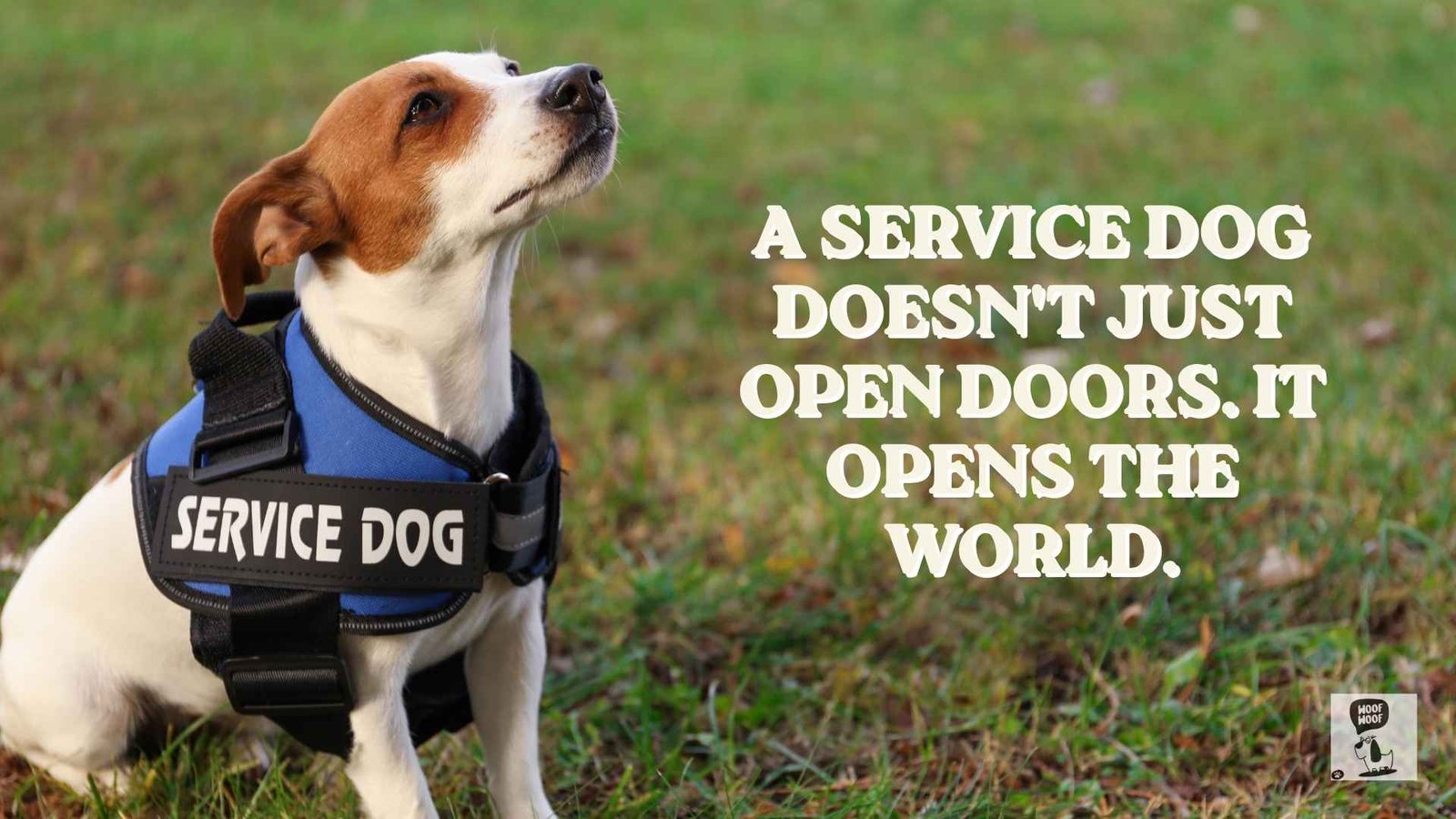 Quotes About Service Dogs and Guide Dogs