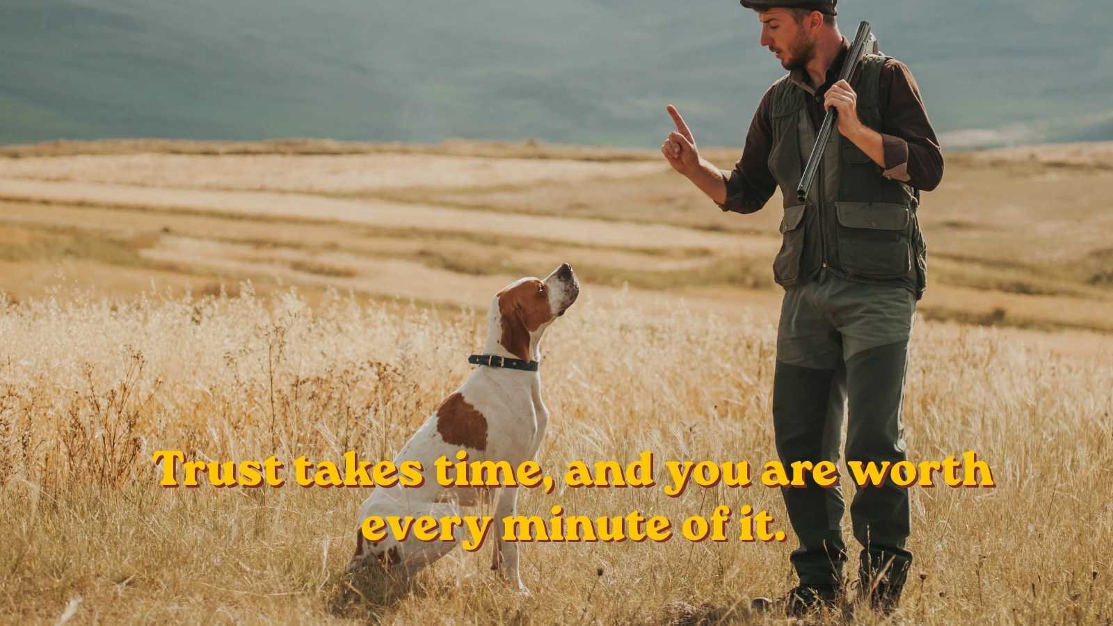 Quotes for an Older or Rescue Dog in Training