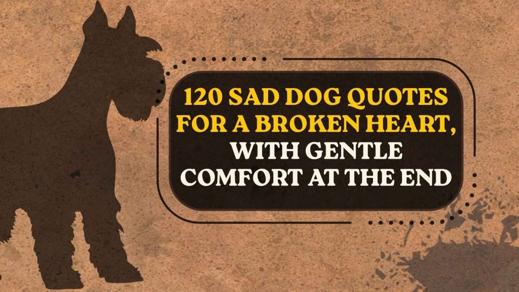 Sad Dog Quotes for a Broken Heart