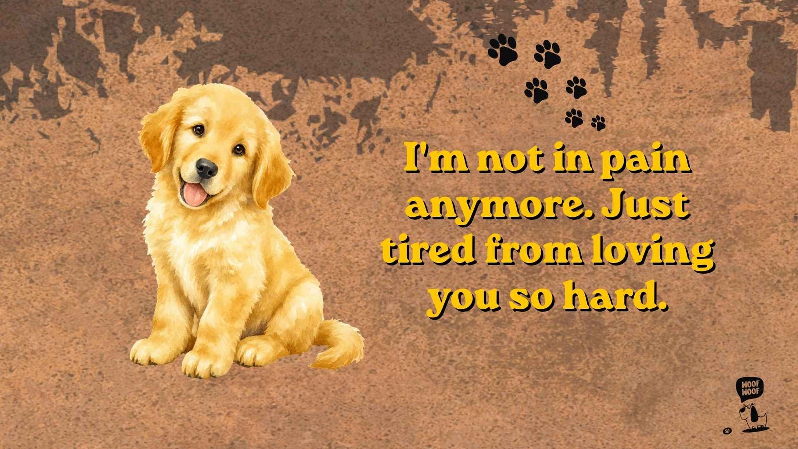 Sad Quotes From Your Dog's Point of View