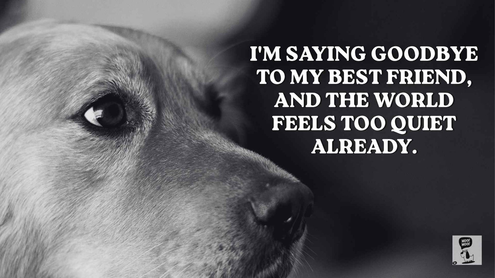 Saying Goodbye to My Best Friend Dog Quotes