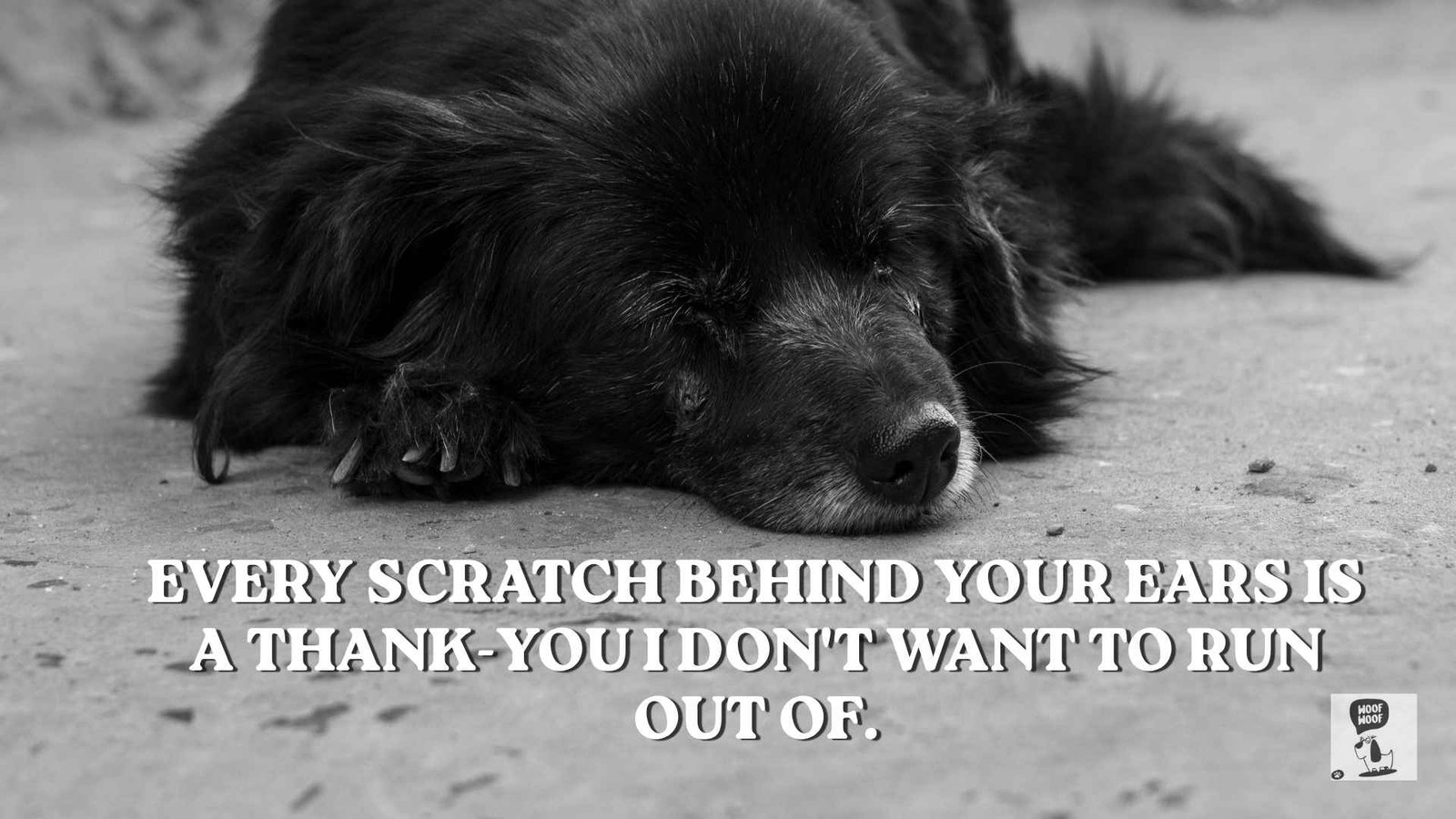 Saying Goodbye to My Dog Quotes