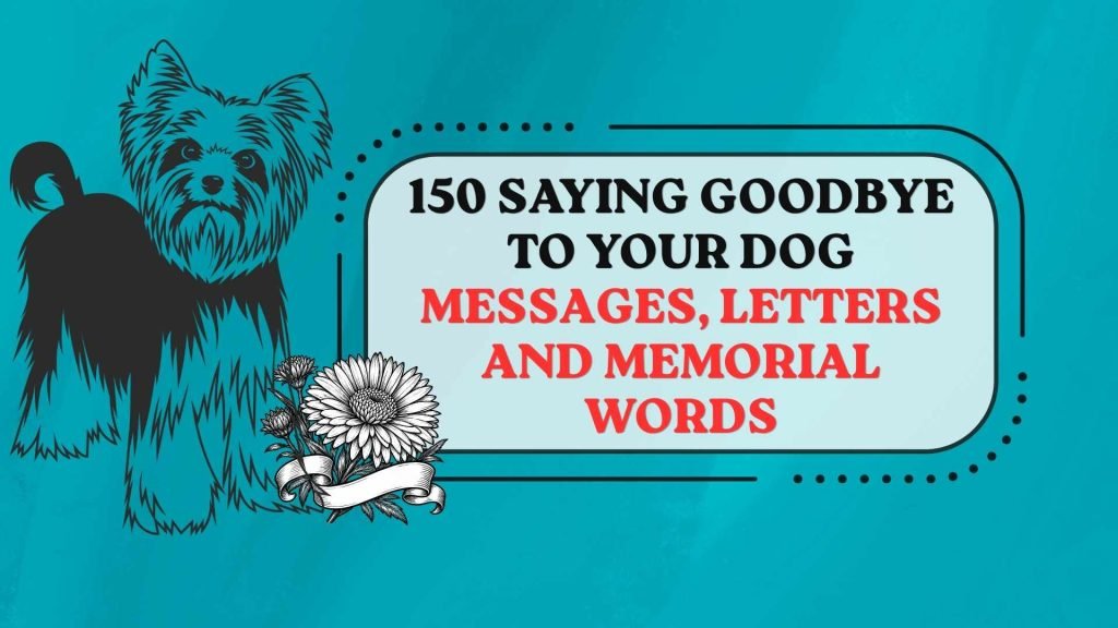 Saying Goodbye to Your Dog Messages, Letters and Memorial Words