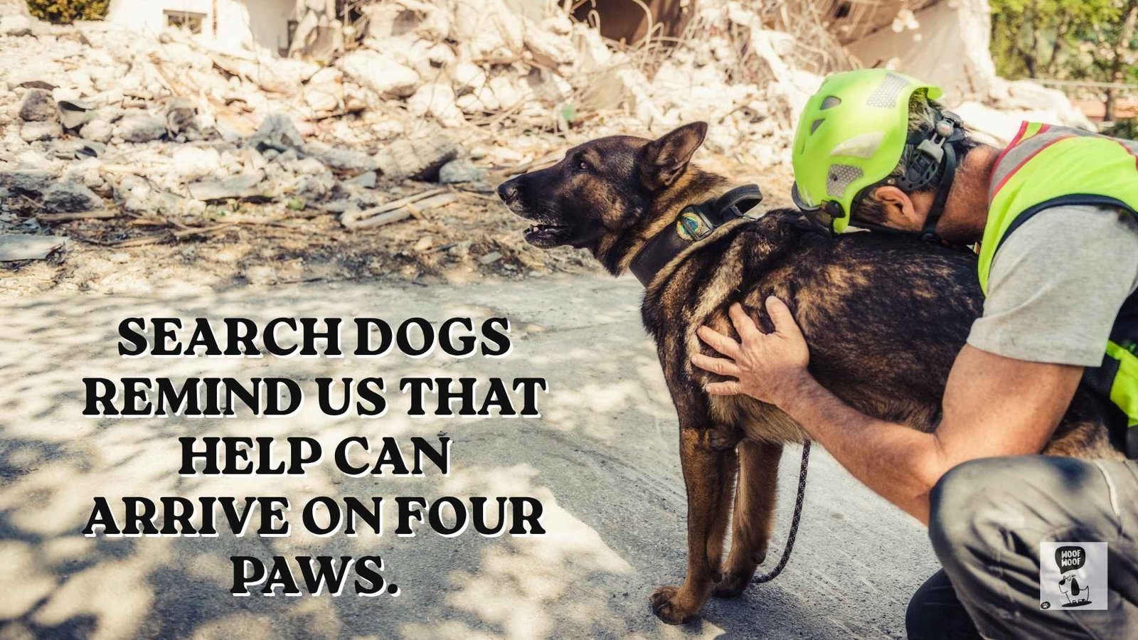 Search and Rescue Dog Quotes