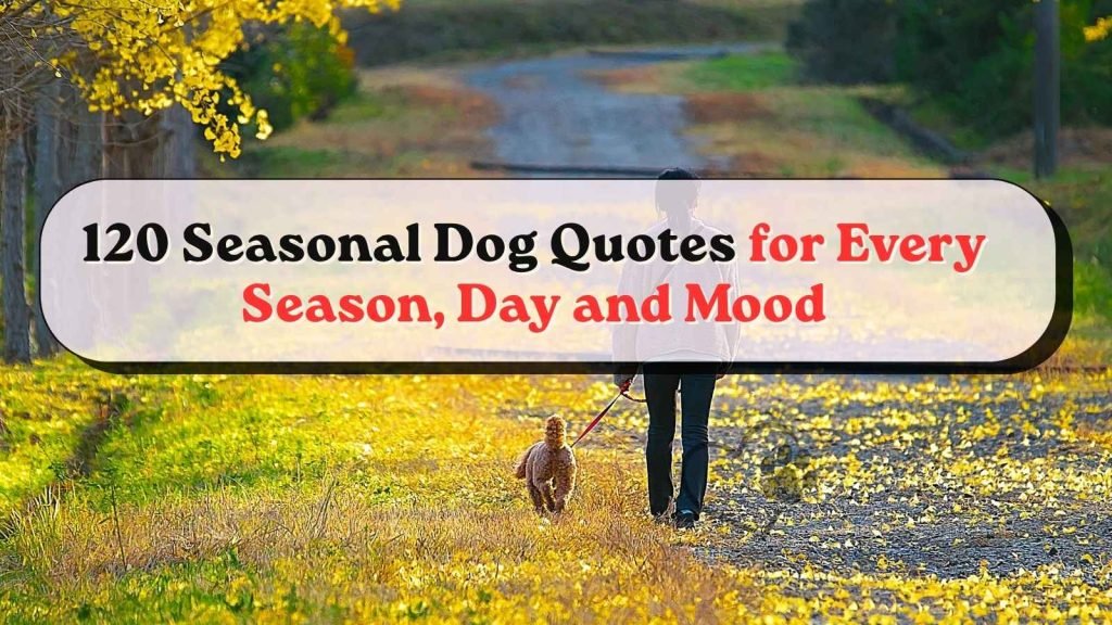 Seasonal Dog Quotes
