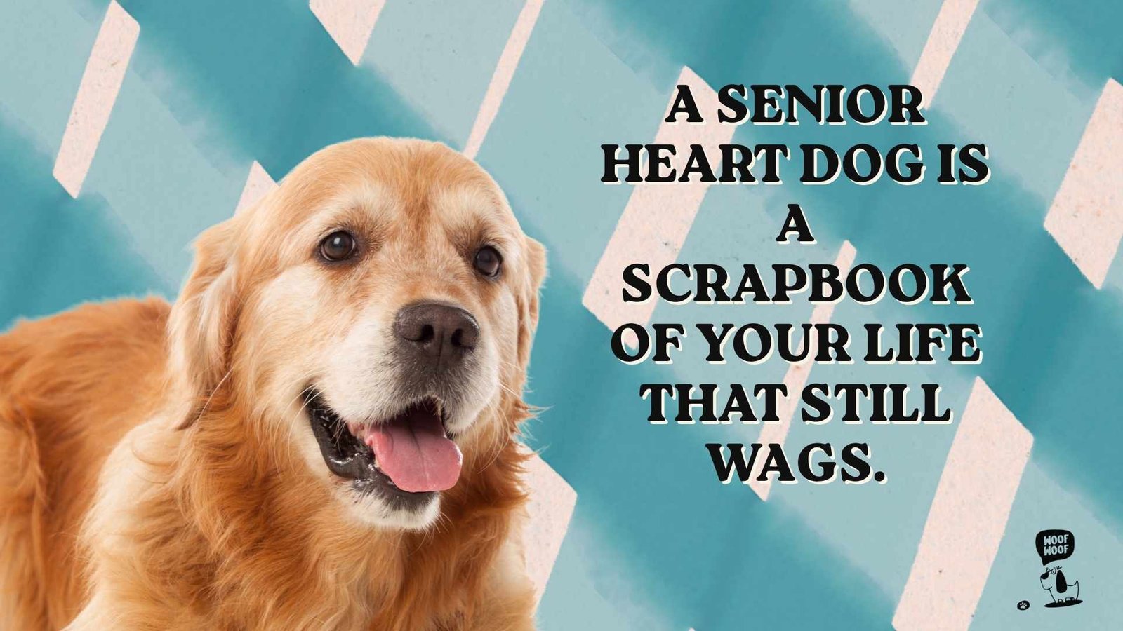 Senior Heart Dog Quotes