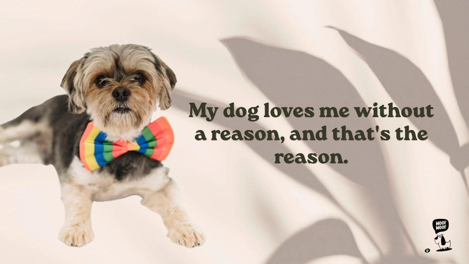 Short A Dog's Love Is Unconditional Quotes