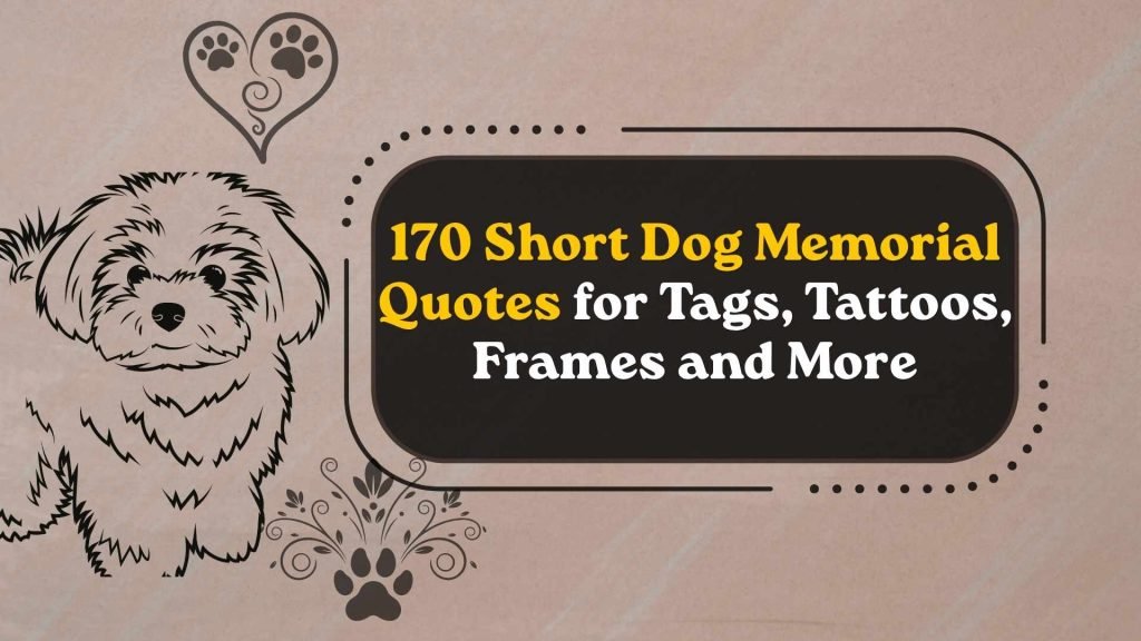 Short Dog Memorial Quotes for Tags, Tattoos, Frames