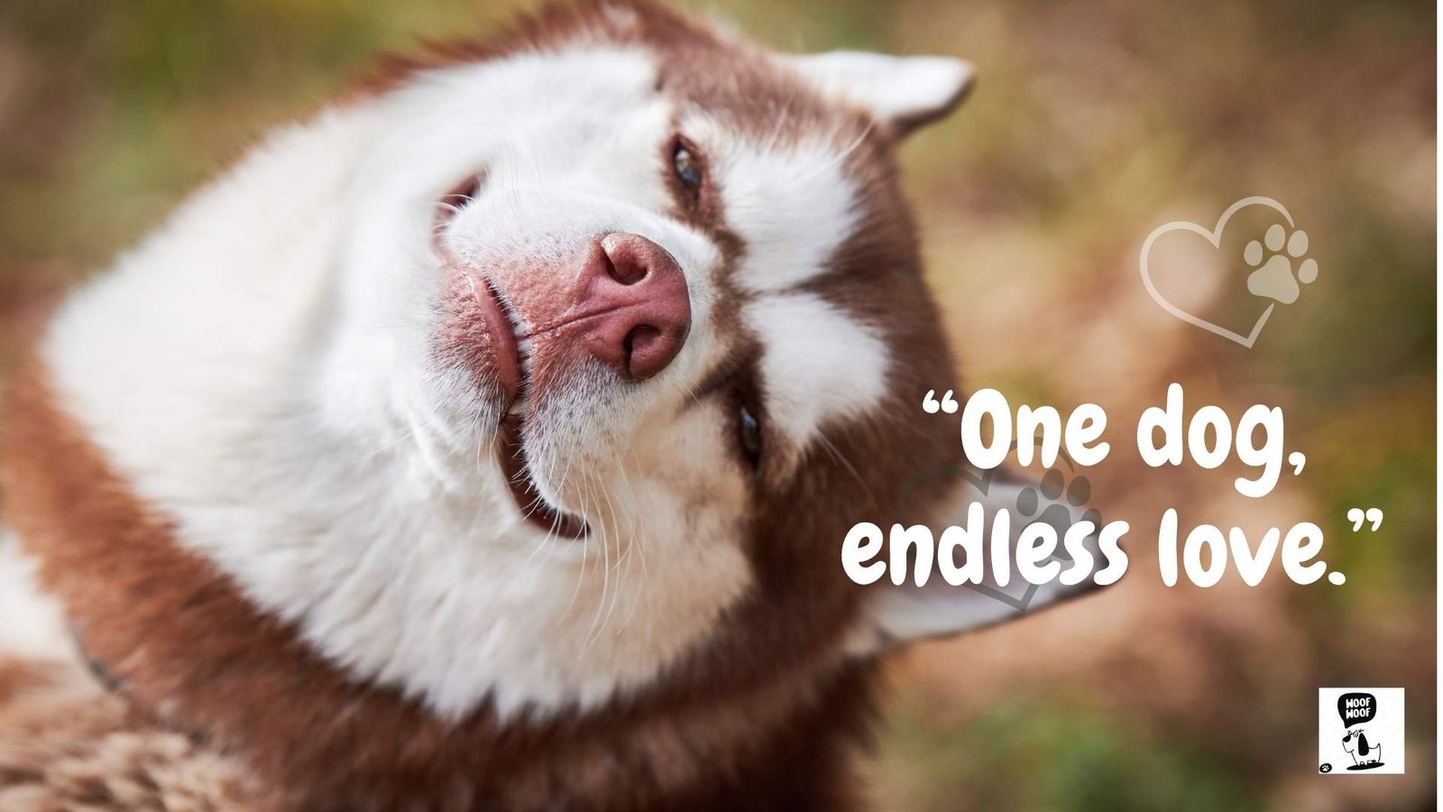 Short Dog Mom Quotes and Sayings