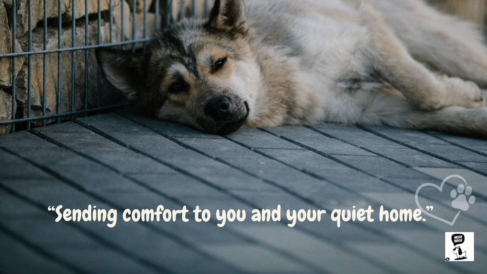 Short Dog Sympathy Quotes for Cards