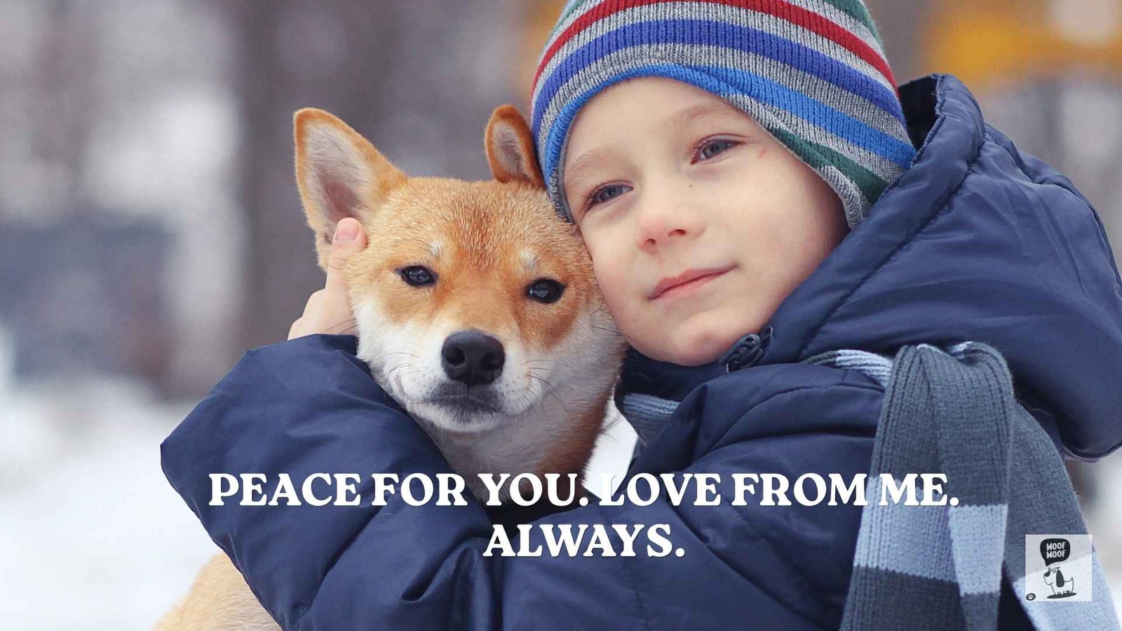 Short Euthanasia Quotes for Dogs and Captions